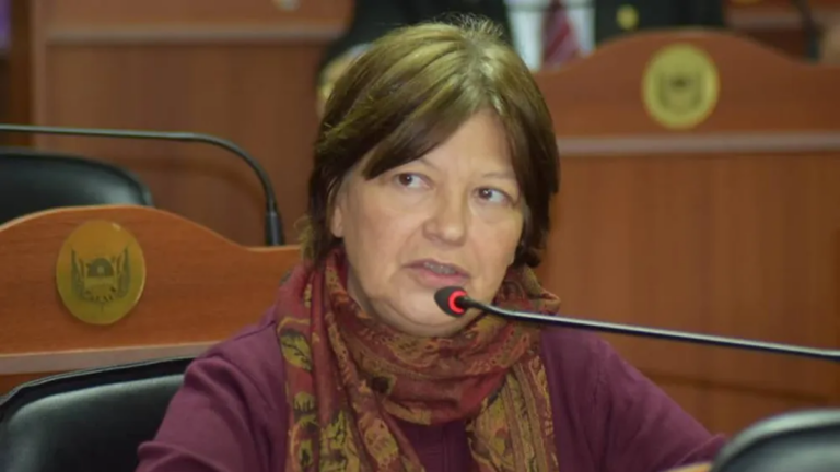 Adriana Díaz, presidenta del Partido Intransigente de Catamarca