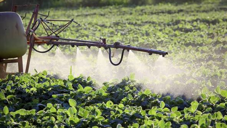 Campo agrícola con fumigación en Argentina