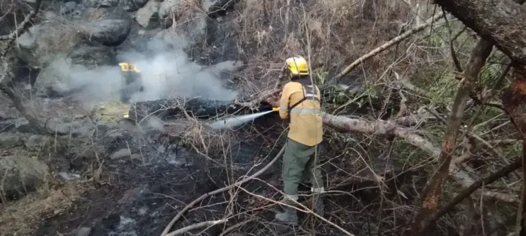 Incendio en la Ruta Provincial 4 en Catamarca