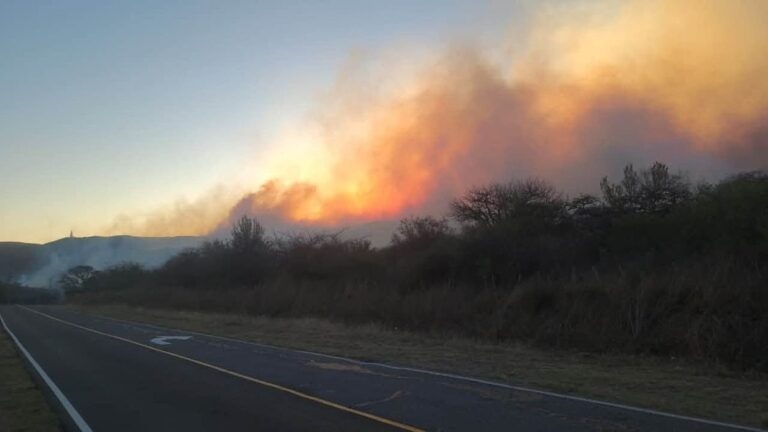 Incendio en la Ruta Provincial 4