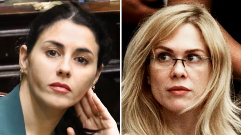 Lilia Lemoine y Marcela Pagano en la Cámara de Diputados