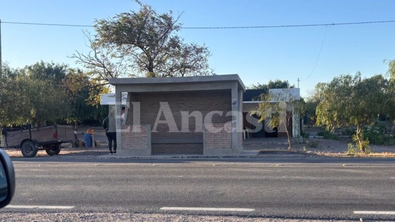 Búsqueda de Maira Cabrera en Telarito