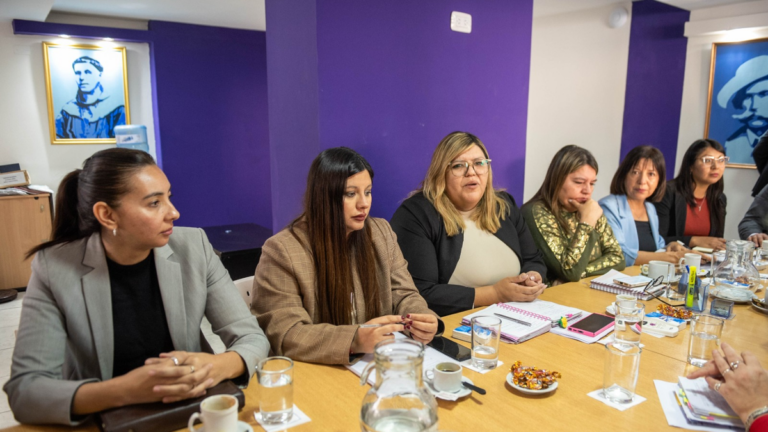 Reunión entre funcionarios de Salud y senadores por el proyecto de Ley de Salud Mental en Catamarca
