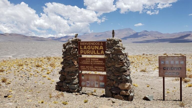 Vista del área protegida Campo de Piedra Pómez en Antofagasta de la Sierra, Catamarca