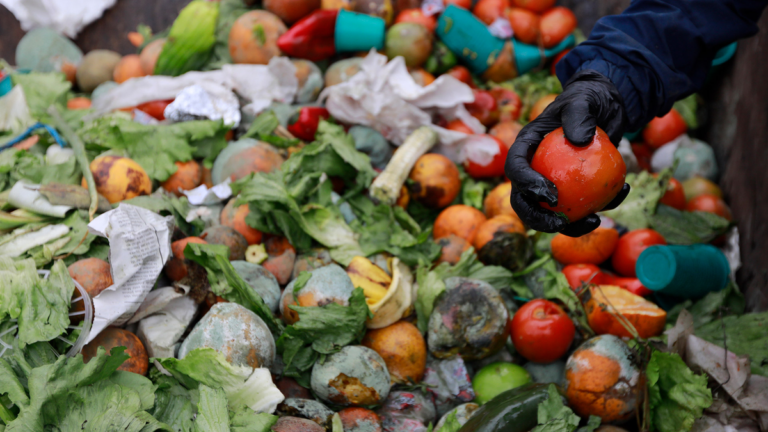 Alimentos descartados en un contenedor de basura
