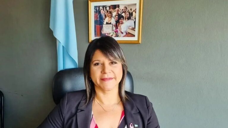 Diputada Natalia Herrera durante un comunicado