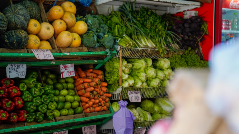Informe del INDEC sobre la Canasta Básica Total y Alimentaria de agosto