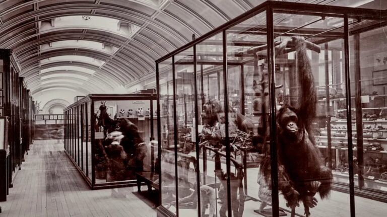 Fachada del Museo de Historia Natural de Londres