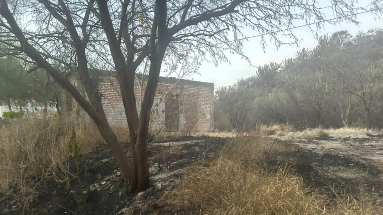 Incendio forestal en Banda de Varela con operativo de bomberos y helicóptero