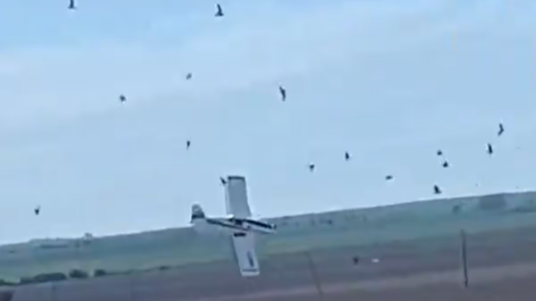 Avioneta de fumigación accidentada en zona rural de Gualeguaychú, Entre Ríos