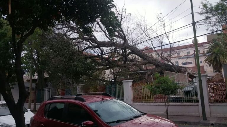 Vientos y variación térmica en Catamarca